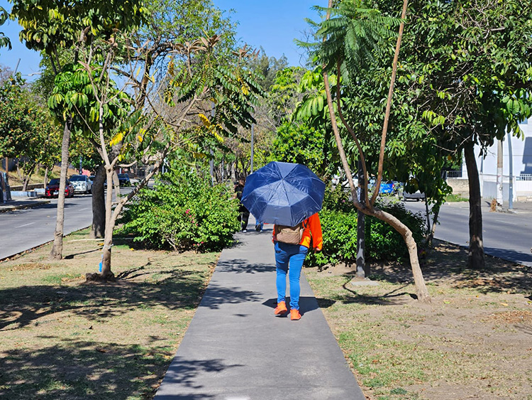 Pierde el AMG vegetación y se intensifica calor 