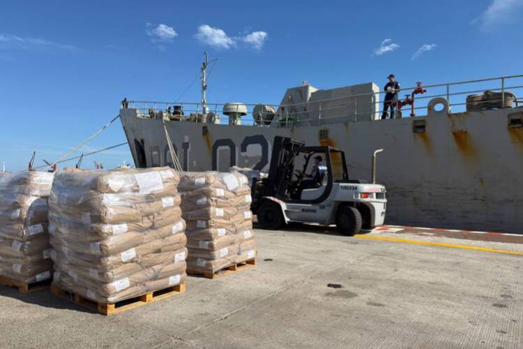 Sheinbaum dice estar 