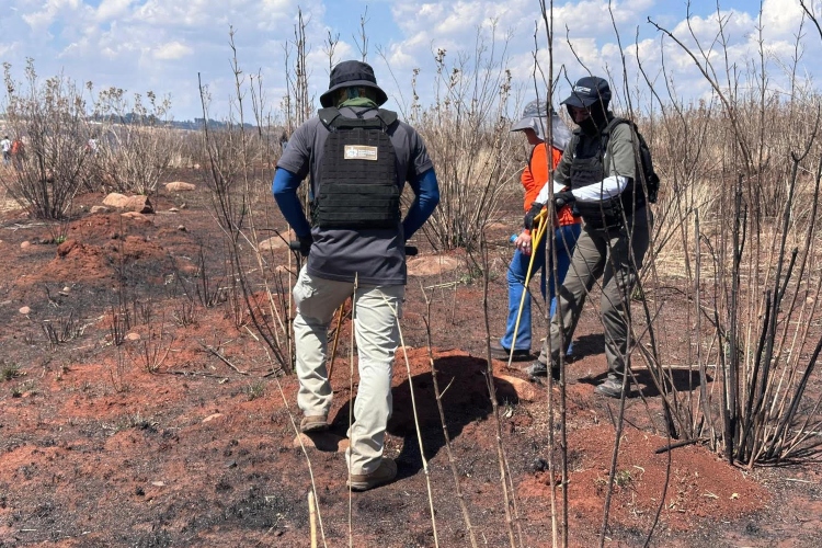 Fiscalía localiza a 28 personas; seis sin vida