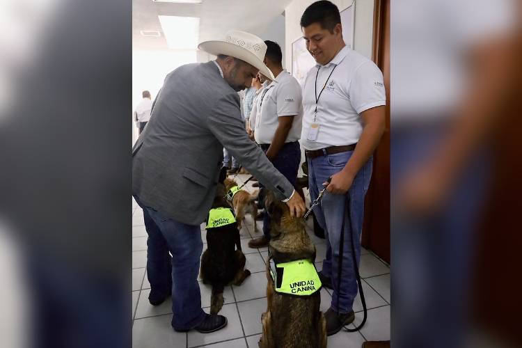 Ascienden a 132 los casos detectados de GBG en Jalisco