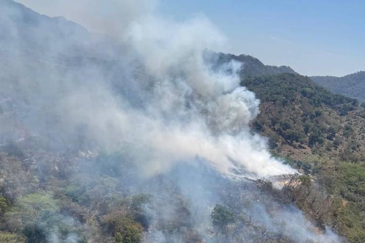 Suspende clases SEP Jalisco en Cabo Corrientes por contingencia ambiental