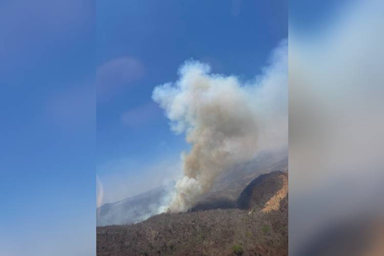 Jalisco, en segundo lugar nacional por incendios