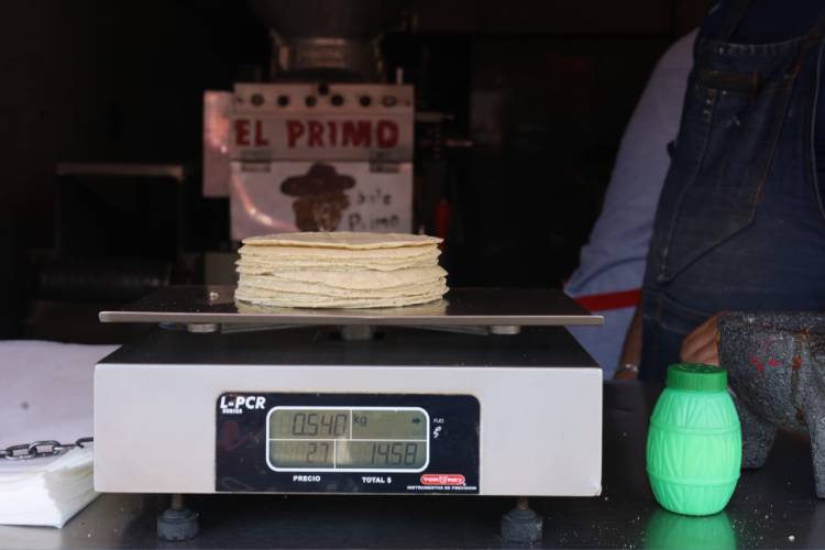 Alza en tortilla requiere coordinación entre gobiernos: especialista