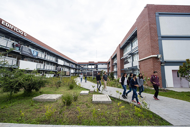 Colectivo alerta que UdeG continúa obra en zona ecológica