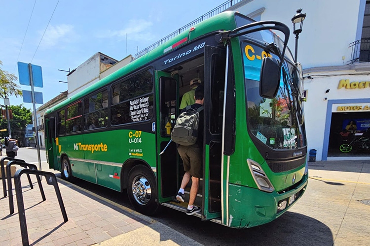 Sin transporte, un tercio de la ciudad