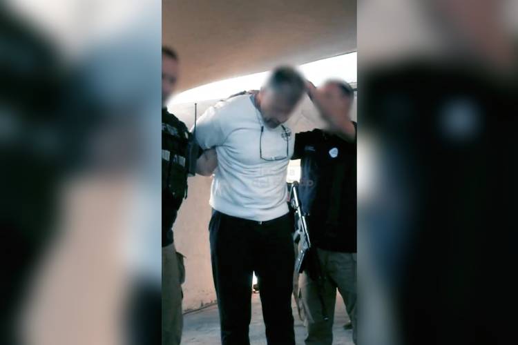 Detenido por crueldad animal tras muerte de perrita