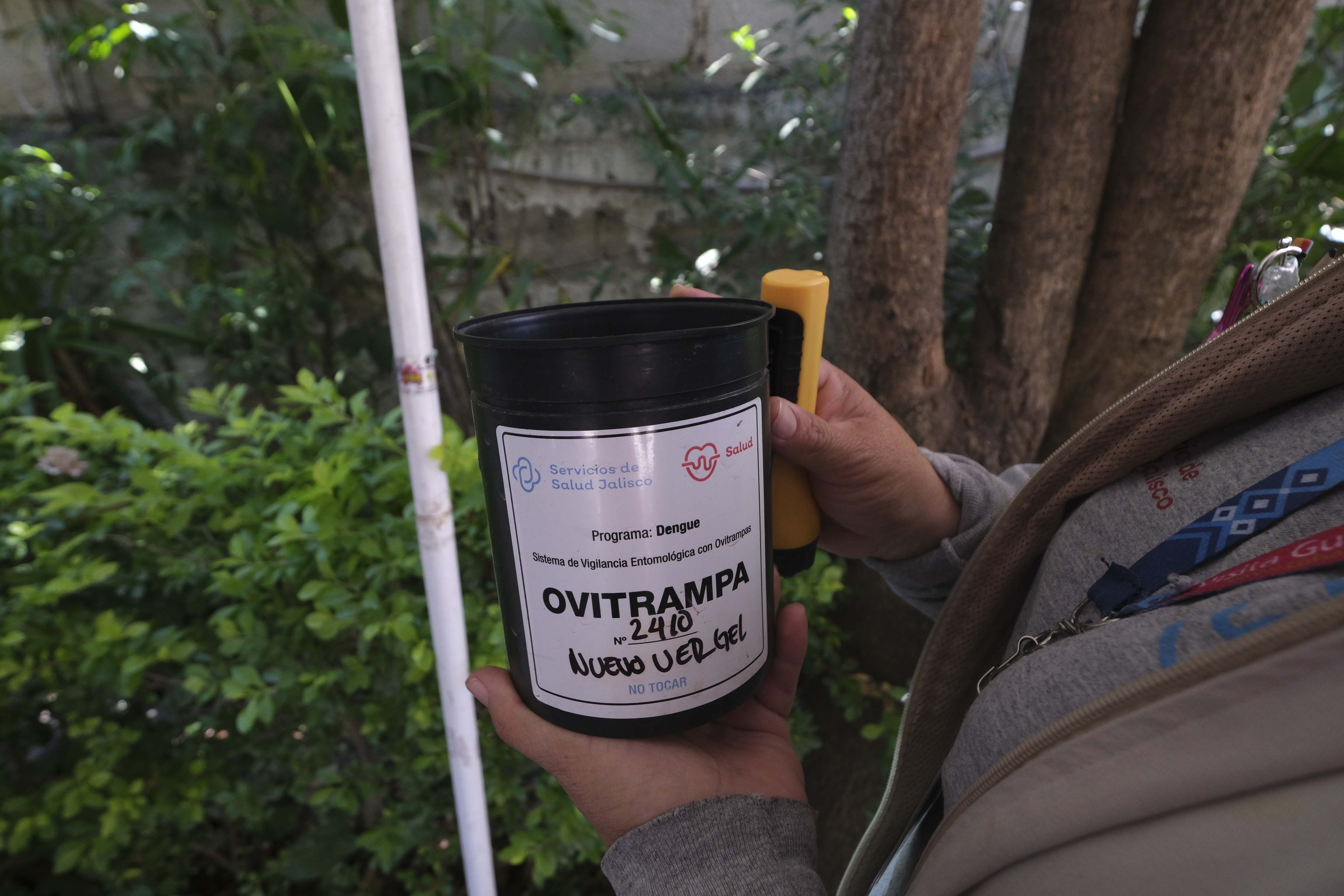 Jalisco, con 15 mil ovitrampas para vigilancia contra dengue