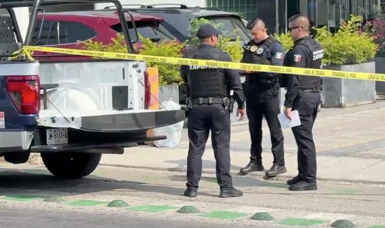 Hallan cráneo humano en jardinera