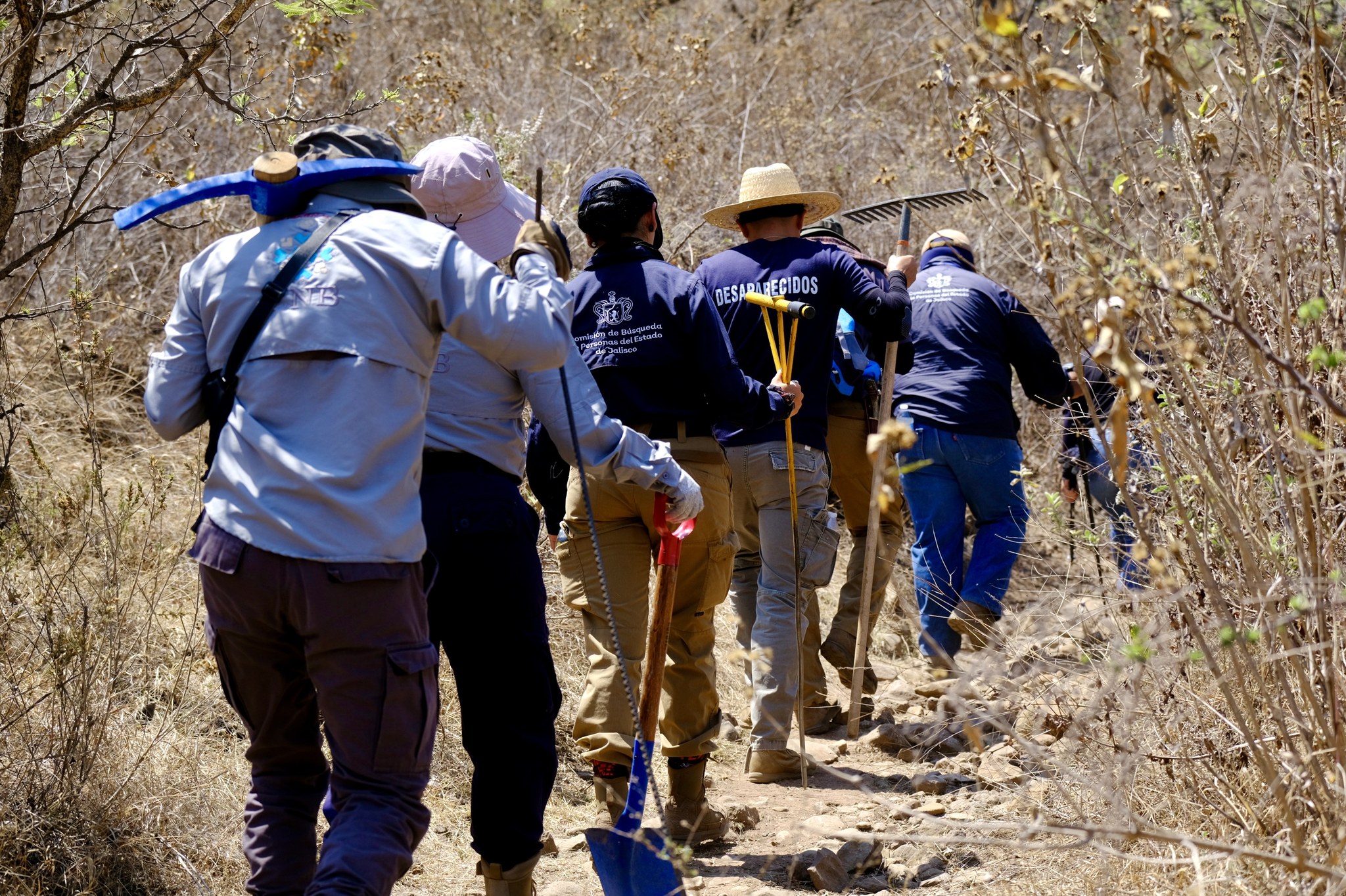 Localiza Fiscalía a 28 personas desaparecidas en una semana; dos sin vida