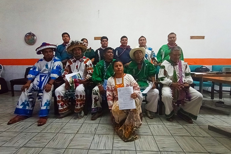 Wixaritari logran sentencia contra concesiones 