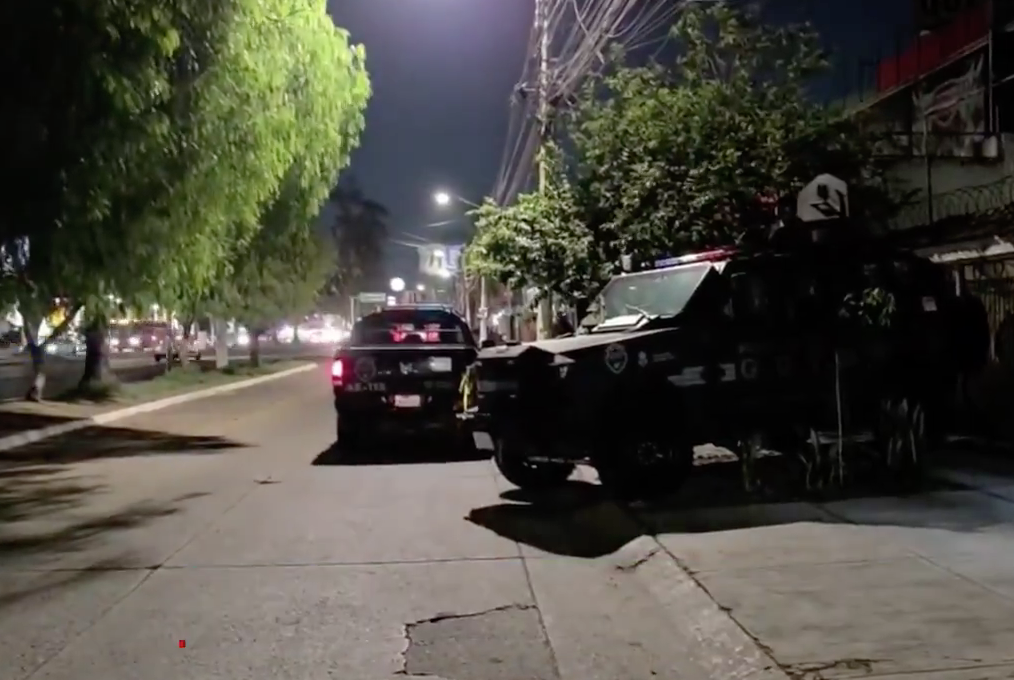 Aseguran finca con plantas de marihuana