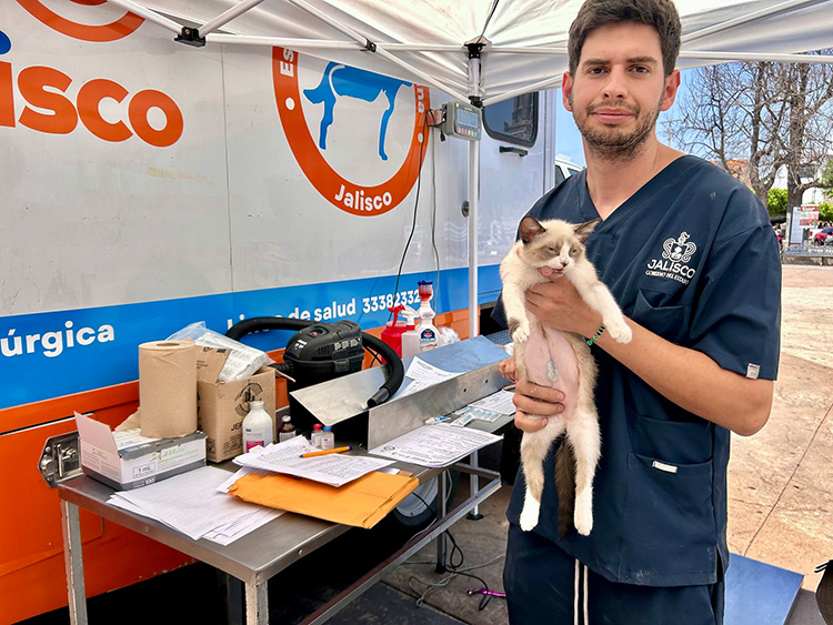 Inicia Jalisco  desparasitación  externa para  mascotas