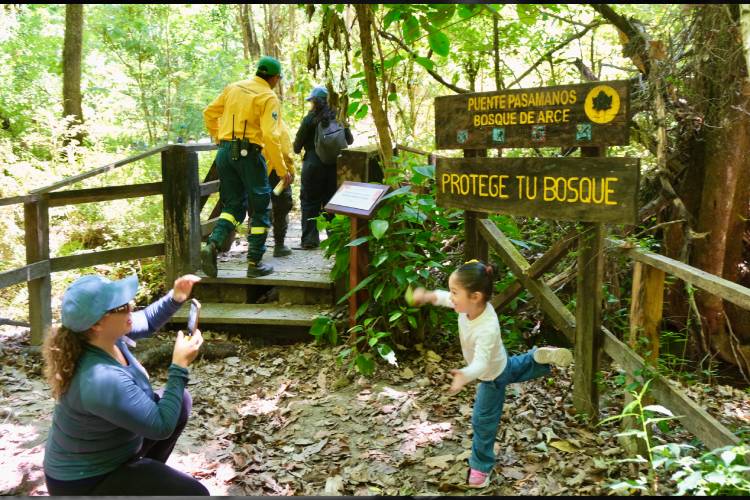 Inauguran sendero interpretativo en Bosque de Arce en Talpa