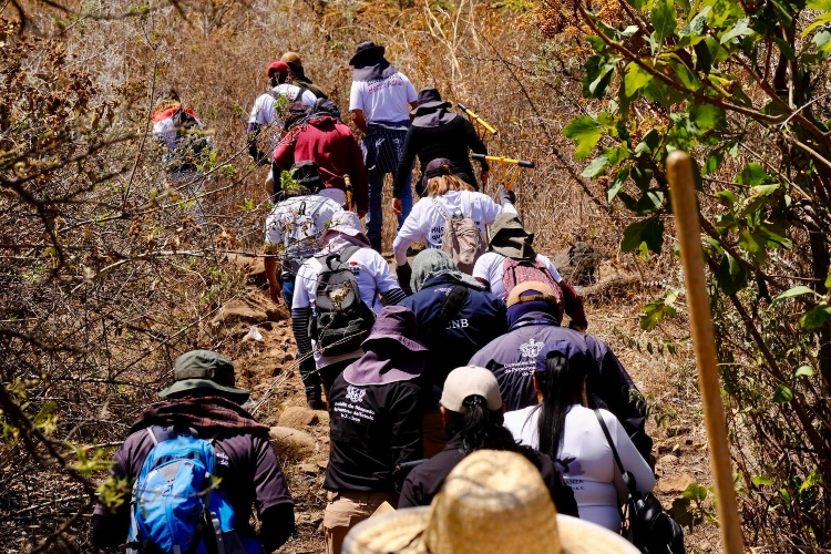 Fiscalía localiza a 28 personas; 7 sin vida