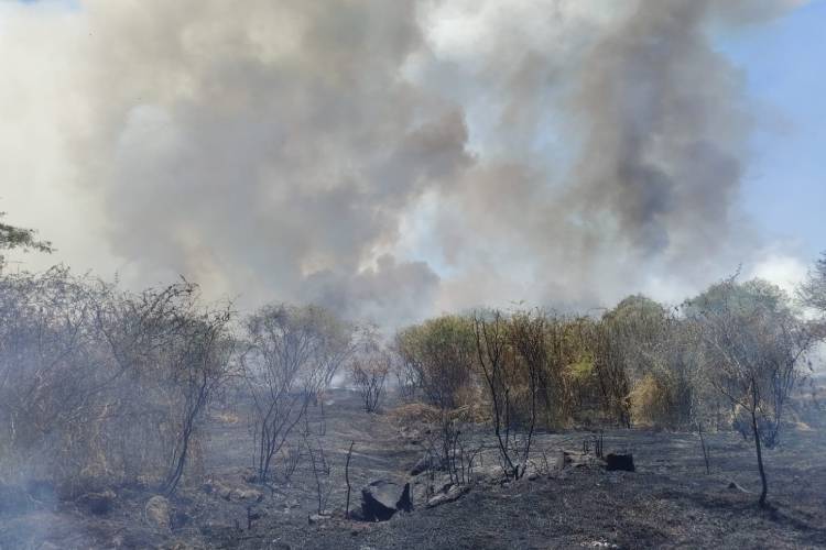 Acusan a corporativo de la UAG de provocar incendio en Nixticuil