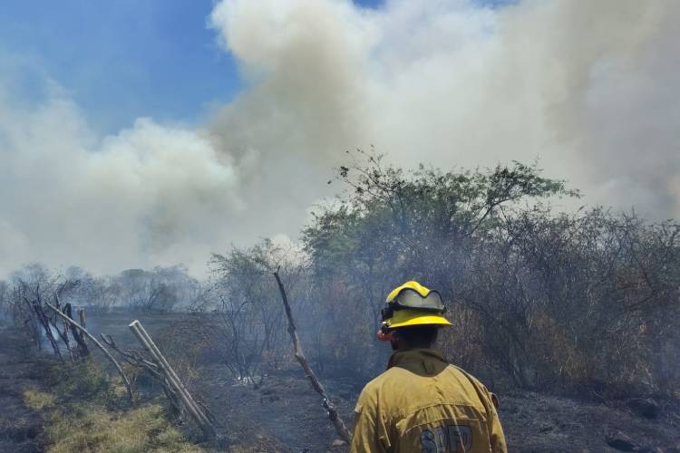Activan emergencia atmosférica en El Salto y Juanacatlán 