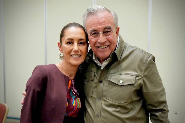 Licencia de Rocha Moya no es casual: Anabel Hernández