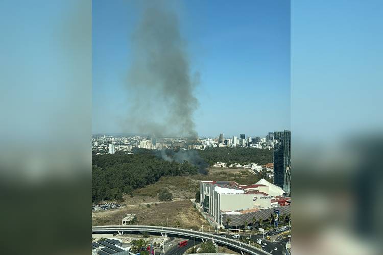 Combaten incendio en Bosque Los Colomos