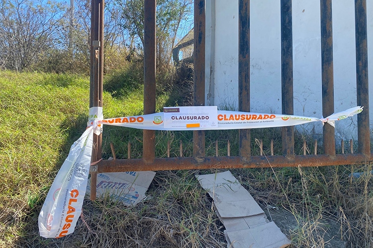 Suma la Proepa 443 denuncias desde 2025