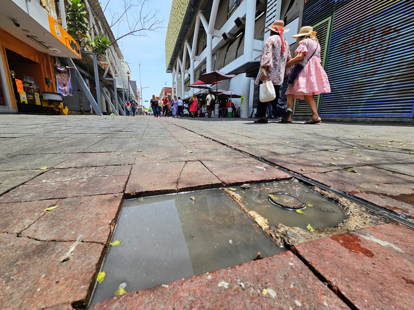 Cambio climático y urbanización disparan riesgo de dengue en Guadalajara 