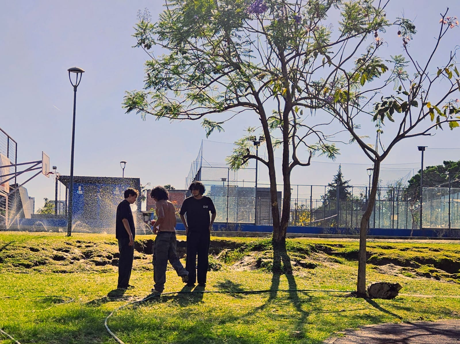 Cambio climático ayuda a que el dengue se establezca en Guadalajara