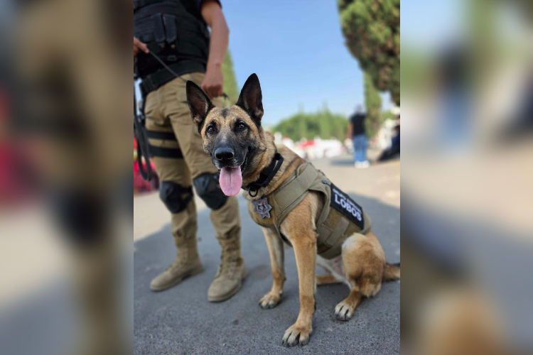‘Doma’, nueva integrante del Grupo Lobos de Policía GDL