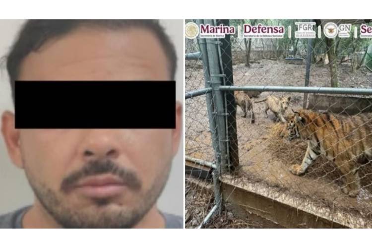 Detienen en Nuevo León a líder de célula Cártel del Noreste por huachicol