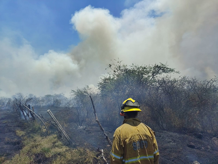 Jalisco reduce incendios y superficie afectada en 2026
