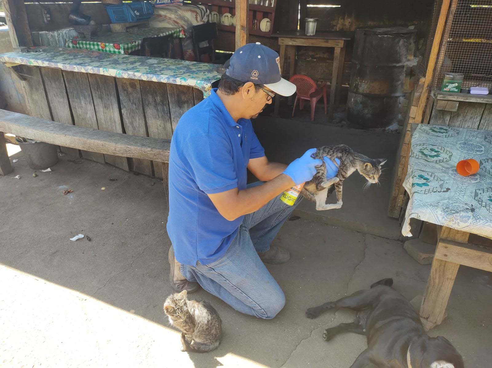 Van 13 casos de gusano barrenador en mascotas