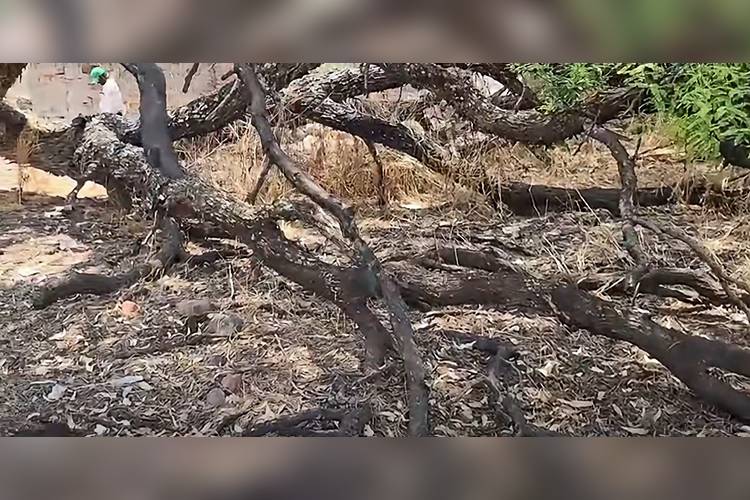 Está en investigación fosa hallada en Lagos