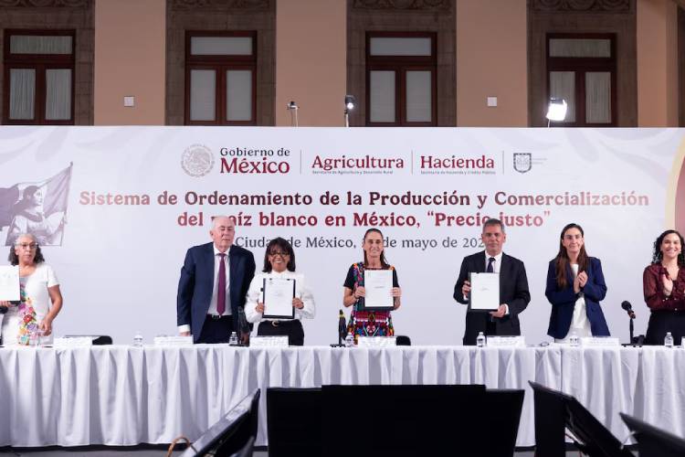 Sheinbaum firma un pacto para precios justos del maíz blanco
