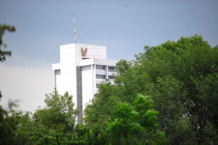 Reporta CMNO 87 trasplantes renales en 2026