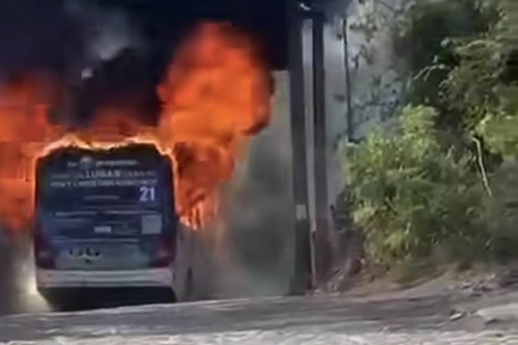 Abaten a dos presuntos agresores y detienen a estadounidense tras bloqueos e incendios en Colima