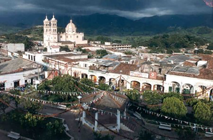 Confirma Jalisco primer caso de gusano barrenador en humano