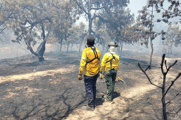 Piden informe a Zapopan de incendios registrados