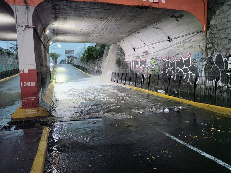 Lluvia provoca inundaciones y caída de árboles en la ciudad en GDL y Zapopan