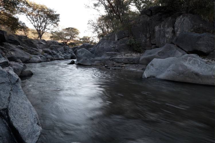 Protección al medio ambiente, de poco interés para políticos 