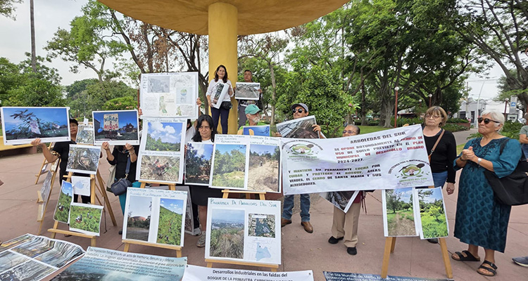 Señalan saqueo ambiental