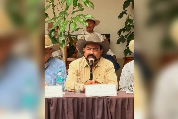 Plantean garantizar inclusión ante discapacidad