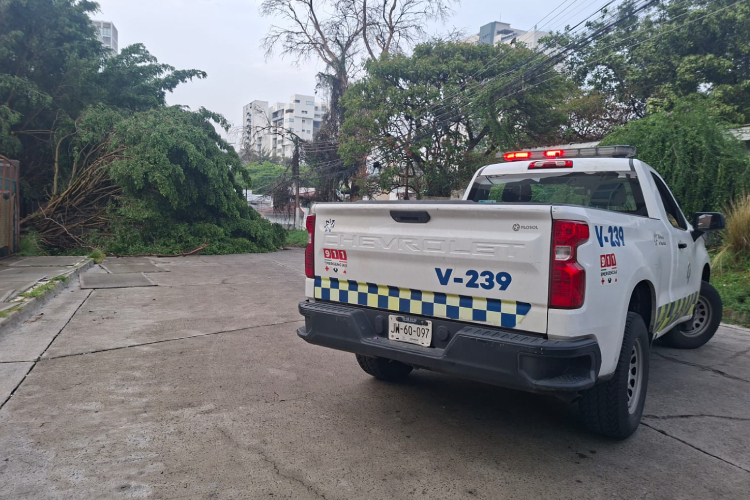 Tormenta deja dos lesionados y 13 personas rescatadas en la ZMG