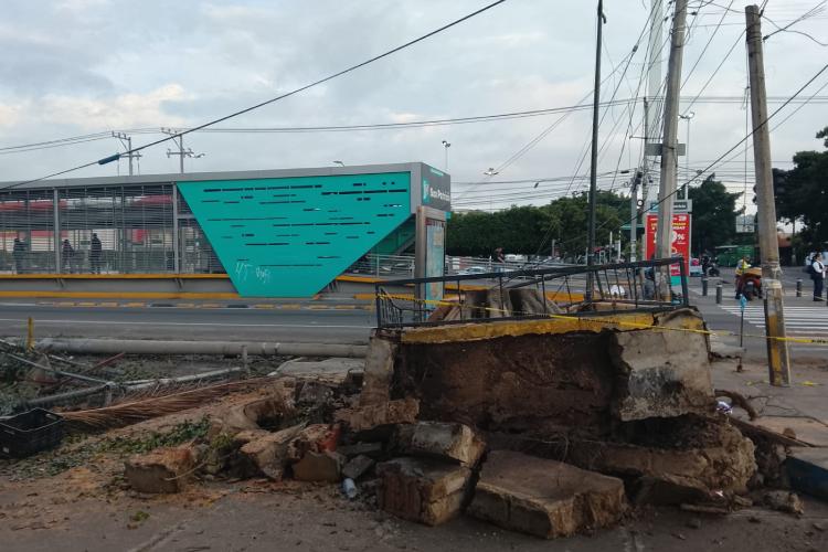 Árbol de 15 metros cae sobre vehículos en la Santa Isabel