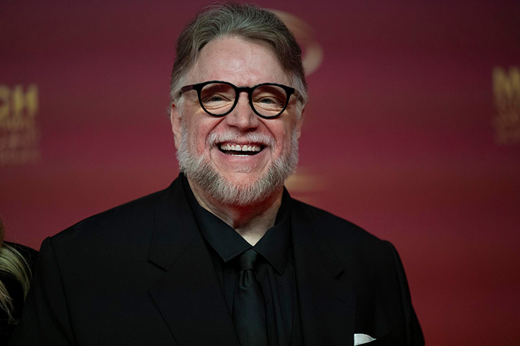 La Academia elige a Del Toro