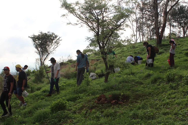 Convocan a reforestar el cerro de la Reina
