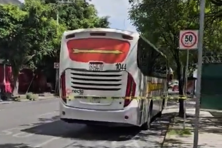 Mujer muere atropellada por camión de turismo