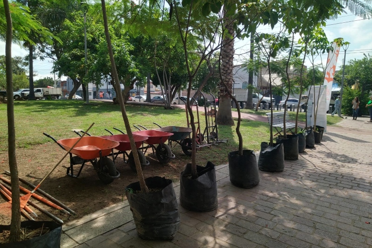 Arranca en Guadalajara el Plan de Plantación 2026