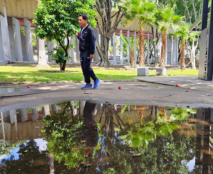 Suman 67 casos de dengue; Junio mantiene tendencia al alza