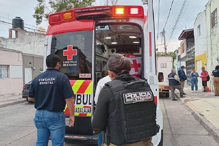 Rescatan a adulta mayor y aseguran 39 perros