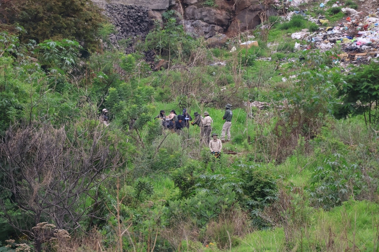 Búsqueda experimental de Cobupej, aún sin éxito