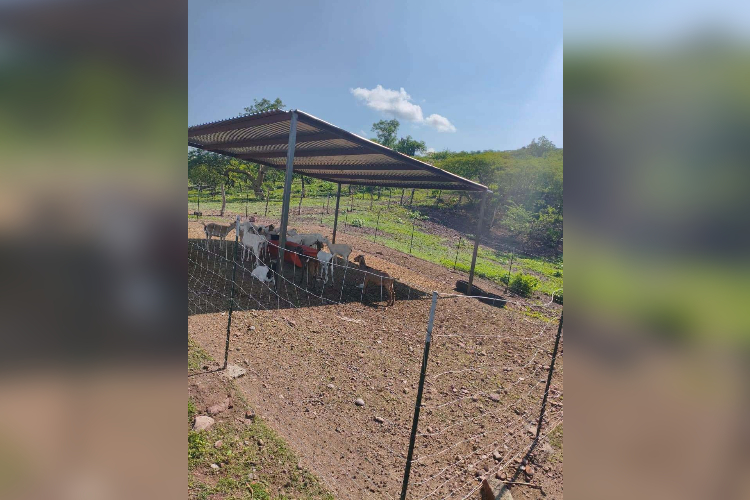 Azqueltán denuncia nuevas amenazas