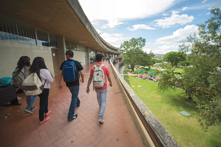Ofrecerán cuatro campus cursos de verano 